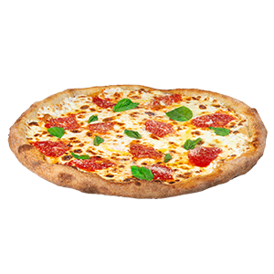 Menu | New York Pizza and Pasta Online Ordering